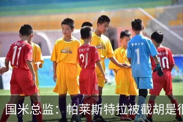 国米总监：帕莱斯特拉被截胡是很正常的事 我们与英超有经济差距